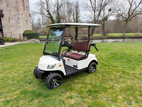Voiturette électrique CAMP 1