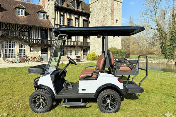 Voiturette électrique DEER 2