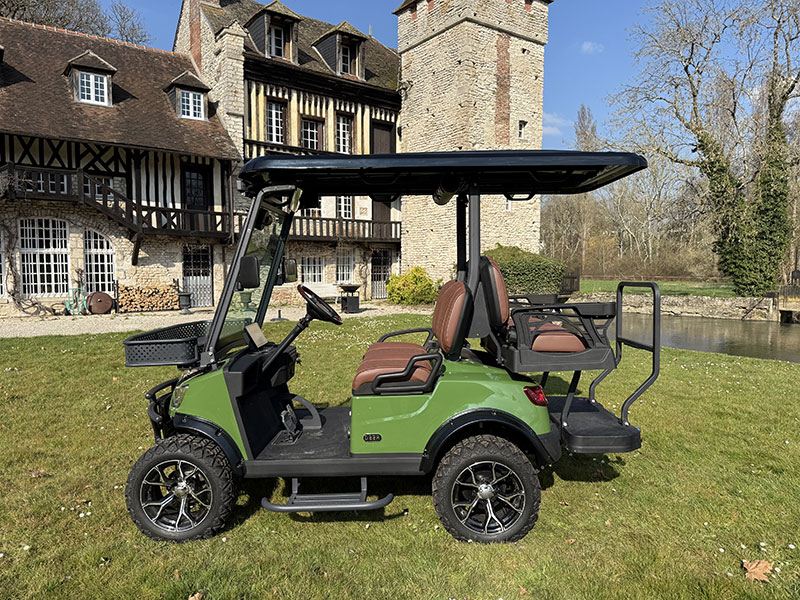Voiturette électrique DEER 1