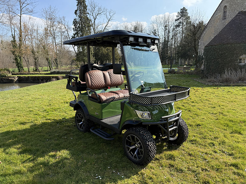 Voiturette électrique DEER 4