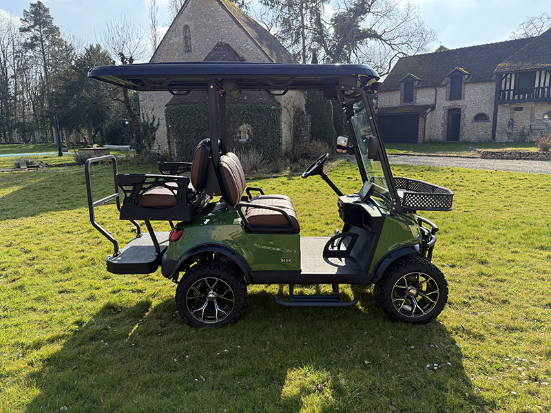 Voiturette électrique DEER 5