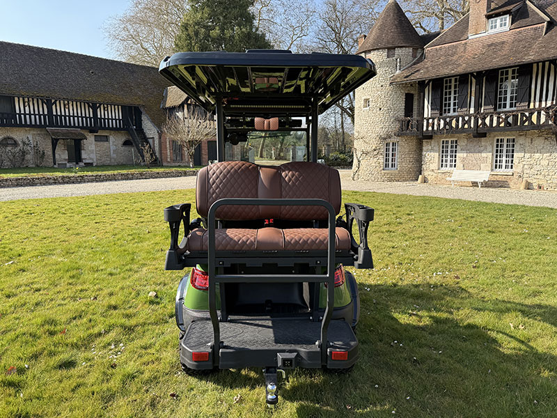 Voiturette électrique DEER 7