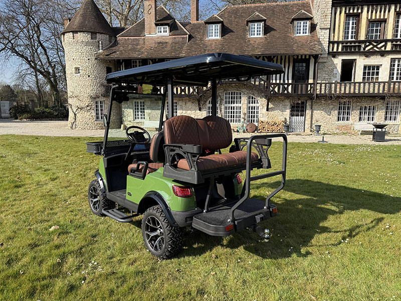 Voiturette électrique DEER 8