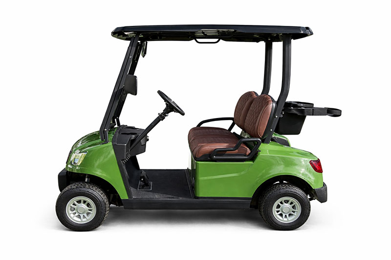 Golfette électrique MOOV