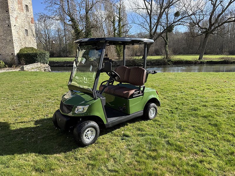 Golfette électrique MOOV 1