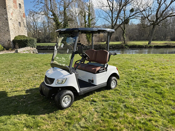 Voiturette électrique MOOV 1