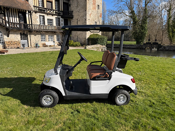 Voiturette électrique MOOV 2