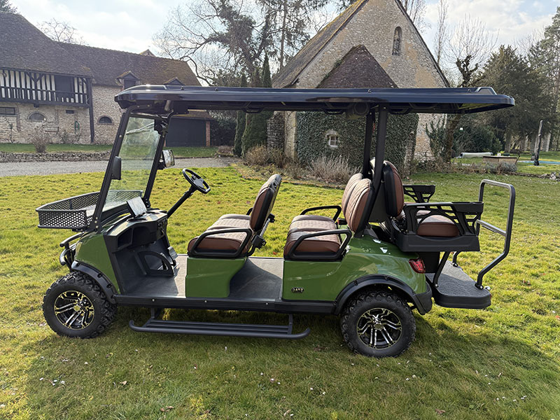 Voiturette électrique STAG 1