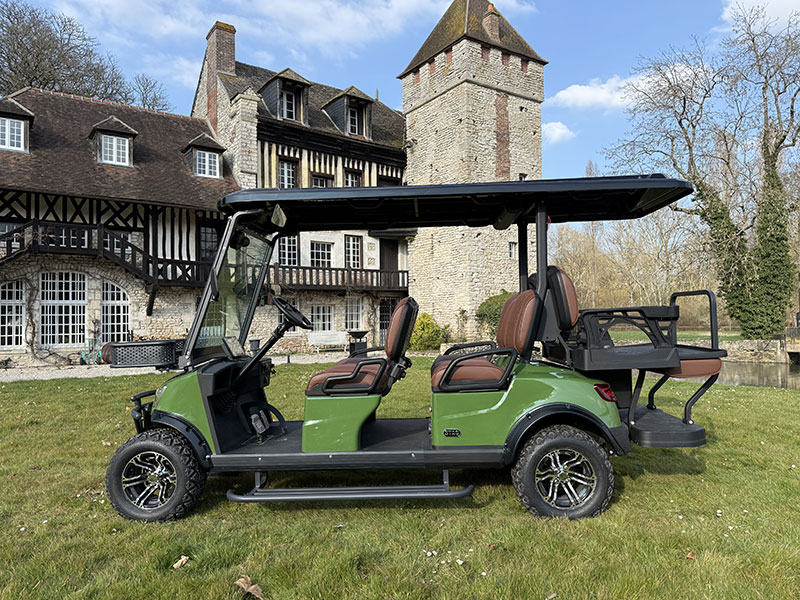 Voiturette électrique STAG 3