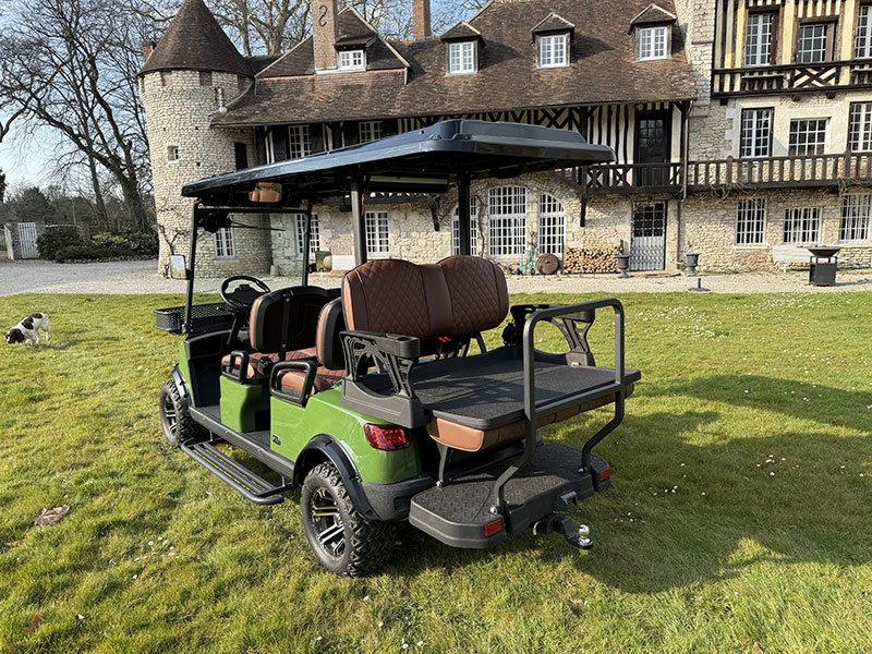 Voiturette électrique STAG 4