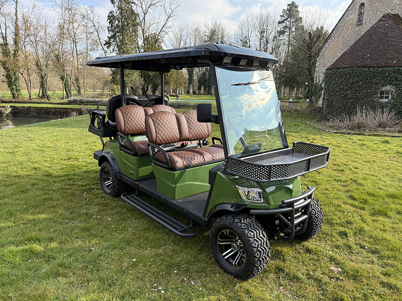 Voiturette électrique STAG 8