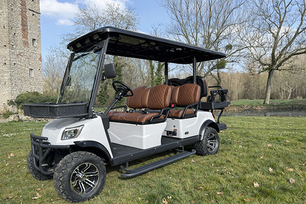Voiturette électrique STAG 1