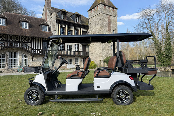 Voiturette électrique STAG 2